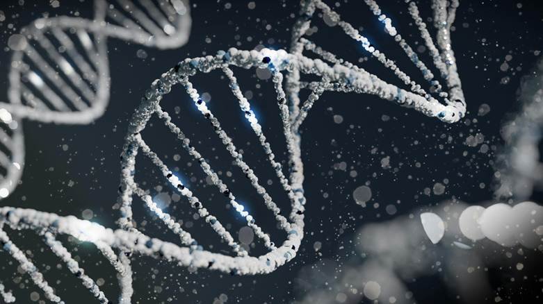 veterinary books publishers in India: vet genomics